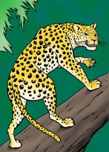 LEOPARD_